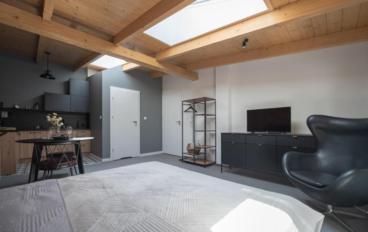 Apartamenty Mlynska 5 Бельсько-Бяла Екстер'єр фото