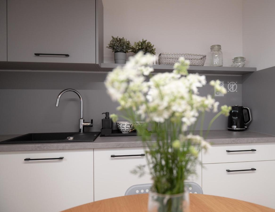 Apartamenty Mlynska 5 Бельсько-Бяла Екстер'єр фото