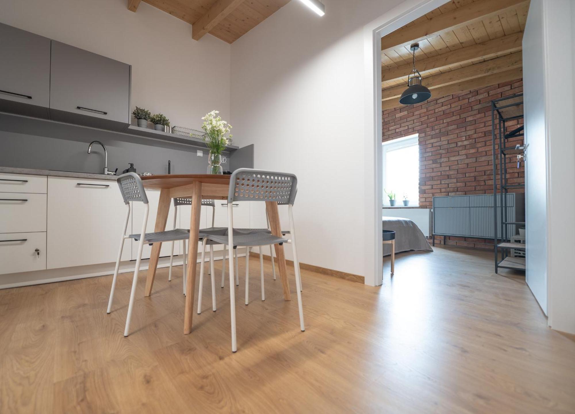 Apartamenty Mlynska 5 Бельсько-Бяла Екстер'єр фото