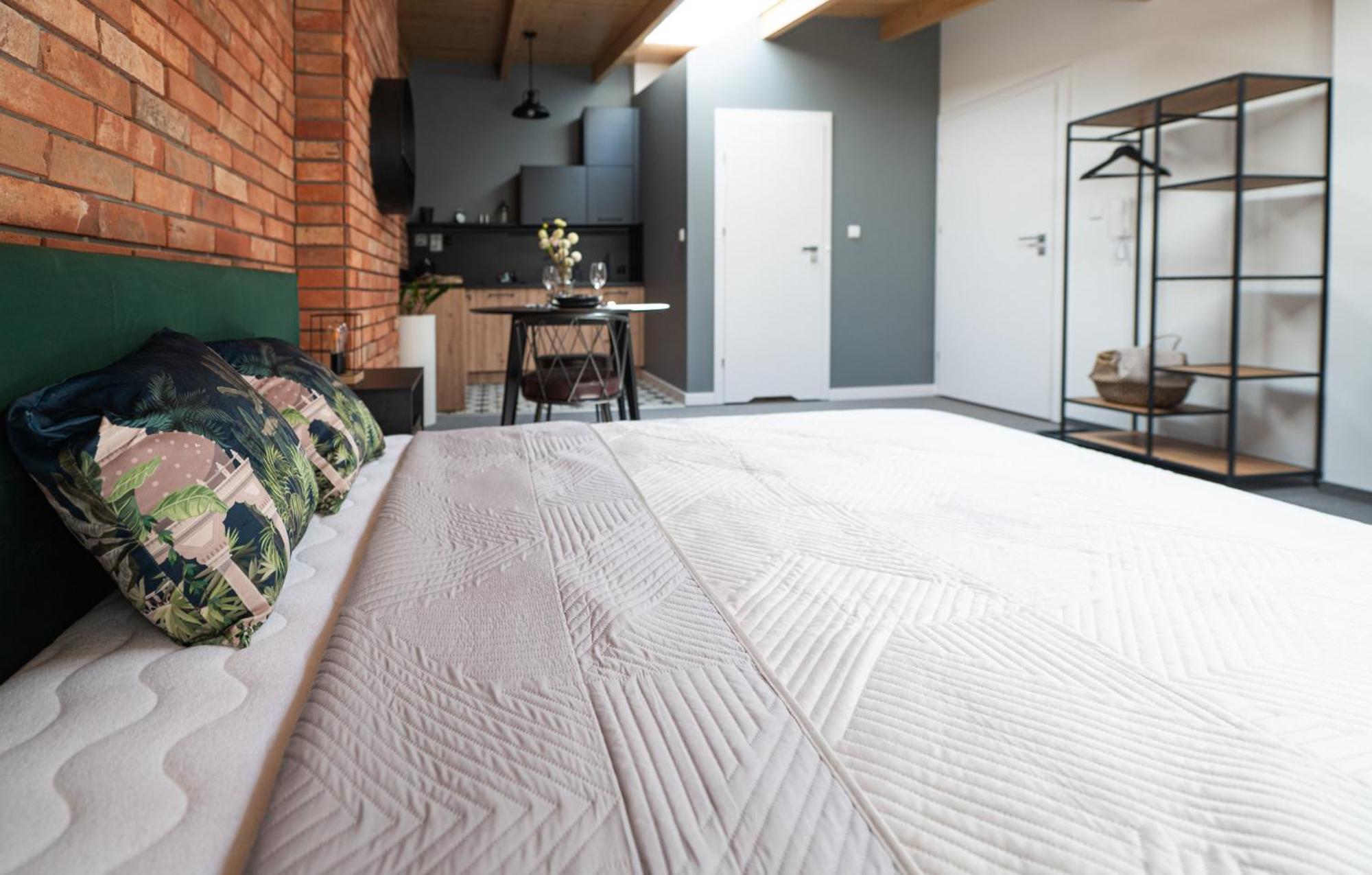 Apartamenty Mlynska 5 Бельсько-Бяла Екстер'єр фото